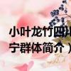 小葉龍竹四川長寧群體（關于小葉龍竹四川長寧群體簡介）
