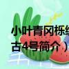 小葉青岡櫟績溪古4號（關于小葉青岡櫟績溪古4號簡介）
