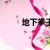 地下拳王皮膚多少錢（地下拳王）
