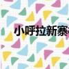 小呼拉新寨村（關于小呼拉新寨村簡介）
