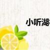 小聽湖村（關于小聽湖村簡介）