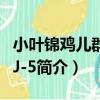小葉錦雞兒群體XJ-5（關于小葉錦雞兒群體XJ-5簡介）