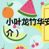 小葉龍竹華安群體（關于小葉龍竹華安群體簡介）
