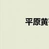 平原黃芩（關于平原黃芩介紹）