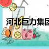 河北巨力集團總資產（河北巨力集團有多少億）