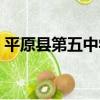 平原縣第五中學（關于平原縣第五中學介紹）