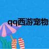 qq西游寵物幻化大全（qq西游寵物幻化）