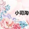 小司淘保（關于小司淘保簡介）
