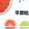 平原槍聲（關于平原槍聲介紹）