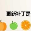更新補丁是什么意思（補丁是什么意思）