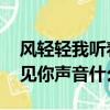 風輕輕我聽著你聲音 是什么歌（風輕輕我聽見你聲音什么歌）