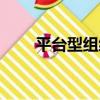 平臺型組織（關于平臺型組織介紹）