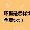 壞蛋是怎樣煉成的全集免費下載（壞蛋是煉成全集txt）