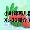 小葉錦雞兒群體XJ-11（關于小葉錦雞兒群體XJ-11簡介）