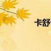 卡舒公司售后（舒卡股份）