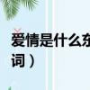 愛情是什么東西歌詞歌譜（愛情是什么東西歌詞）