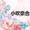 小吹奈合緒（關于小吹奈合緒簡介）