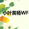 小葉黃楊WF-1（關于小葉黃楊WF-1簡介）