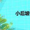 小后坡村（關于小后坡村簡介）