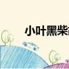 小葉黑柴胡（關于小葉黑柴胡簡介）