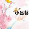小呂巷村（關于小呂巷村簡介）