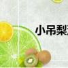 小吊梨湯（關于小吊梨湯簡介）