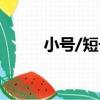 小號/短號（關于小號/短號簡介）