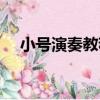 小號演奏教程（關于小號演奏教程簡介）