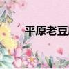 平原老豆腐（關于平原老豆腐介紹）