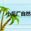 小后廠自然村（關于小后廠自然村簡介）