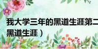 我大學三年的黑道生涯第二年(我大學三年的黑道生涯)