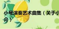小號演奏藝術曲集(關于小號演奏藝術曲集簡介)