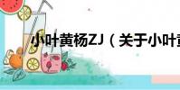小葉黃楊ZJ(關于小葉黃楊ZJ簡介)