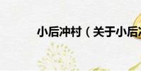 小后沖村(關于小后沖村簡介)