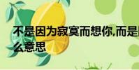 不是因為寂寞而想你,而是因為想你而寂寞什么意思