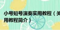 小號短號演奏實用教程(關于小號短號演奏實用教程簡介)