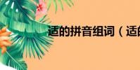 適的拼音組詞(適的拼音)