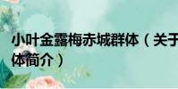 小葉金露梅赤城群體(關于小葉金露梅赤城群體簡介)