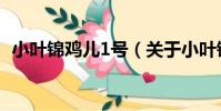 小葉錦雞兒1號(關于小葉錦雞兒1號簡介)