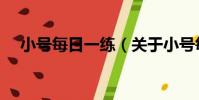 小號每日一練(關于小號每日一練簡介)