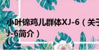 小葉錦雞兒群體XJ-6(關于小葉錦雞兒群體XJ-6簡介)