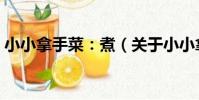 小小拿手菜:煮(關于小小拿手菜:煮簡介)