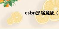 csbn是啥意思(csb)