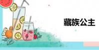 藏族公主