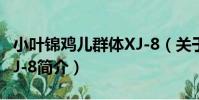 小葉錦雞兒群體XJ-8(關于小葉錦雞兒群體XJ-8簡介)