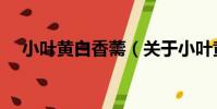 小葉黃白香薷(關于小葉黃白香薷簡介)