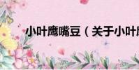 小葉鷹嘴豆(關于小葉鷹嘴豆簡介)