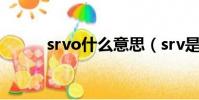 srvo什么意思(srv是什么意思)
