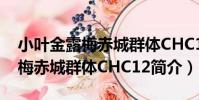 小葉金露梅赤城群體CHC12(關于小葉金露梅赤城群體CHC12簡介)