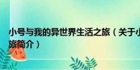 小號與我的異世界生活之旅(關于小號與我的異世界生活之旅簡介)